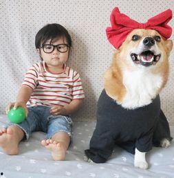 男孩和狗图片,温馨瞬间定格