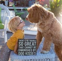 男孩和狗图片,温馨瞬间定格  第2张