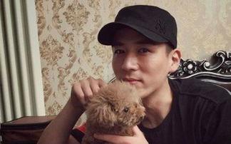 许帆的个人资料,才华横溢的青年才俊，多领域成就斐然  第3张