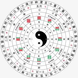 八卦图九儿 第2张 八卦图九儿 第2张