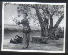 曲原照片 第2张 曲原照片 第2张